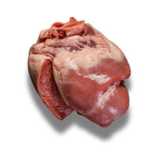 Beef Heart