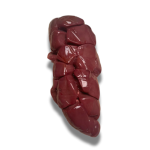 Beef Kidney