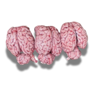 Frozen Brain