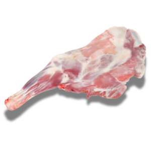 Sheep Leg